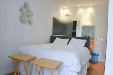 Centre-ville Spacieux, Elegant / Climatisation Apartment